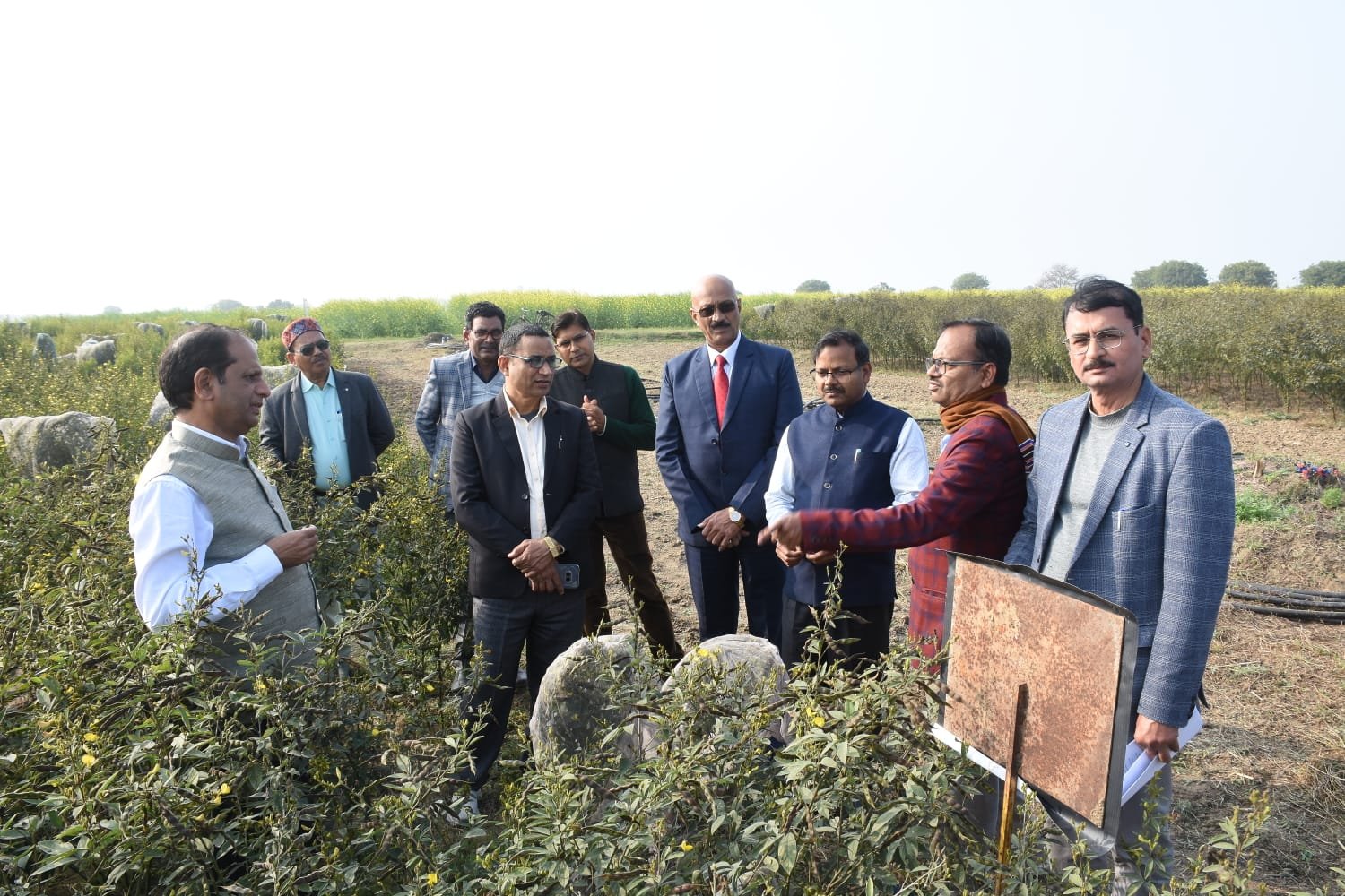 *आपसी सहयोग से ‘शुष्क खेती पर उत्कृष्टता केंद्र’ की स्थापना पर कर रहे हैं कार्य= महानिदेशक, डाॅ0 हिमांशु पाठक*