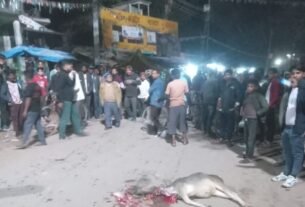 तेज़ रफ्तार, ओवरलोड और बेलगाम सिस्टम: करतल में गौवंश कुचला, प्रशासन पर फिर उठे सवाल*