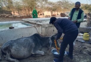 महाशिवरात्रि के शुभ अवसर पर गौ पूजन कार्यक्रम आयोजित किया गया