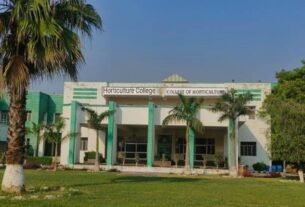 बांदा ii राजकीय महिला स्नातकोत्तर महाविद्यालय के राष्ट्रीय सेवा योजना का शिविर आयोजित