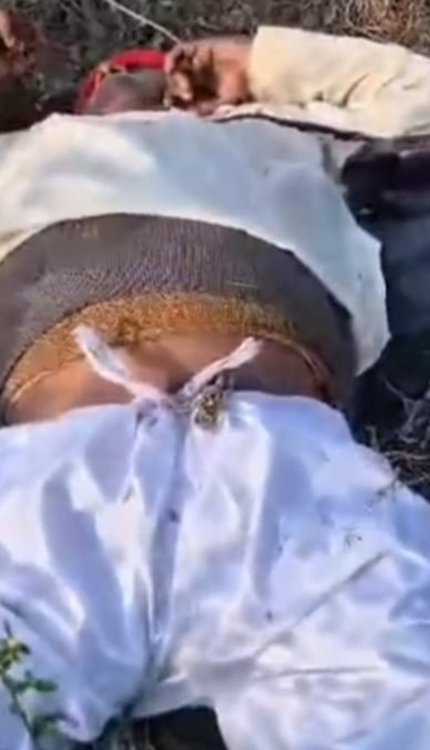 अमखेड़ा मार्ग पेट्रोल टैंक के पास भीषण बाइक हादसा, अधेड़ गंभीर रूप से घायल