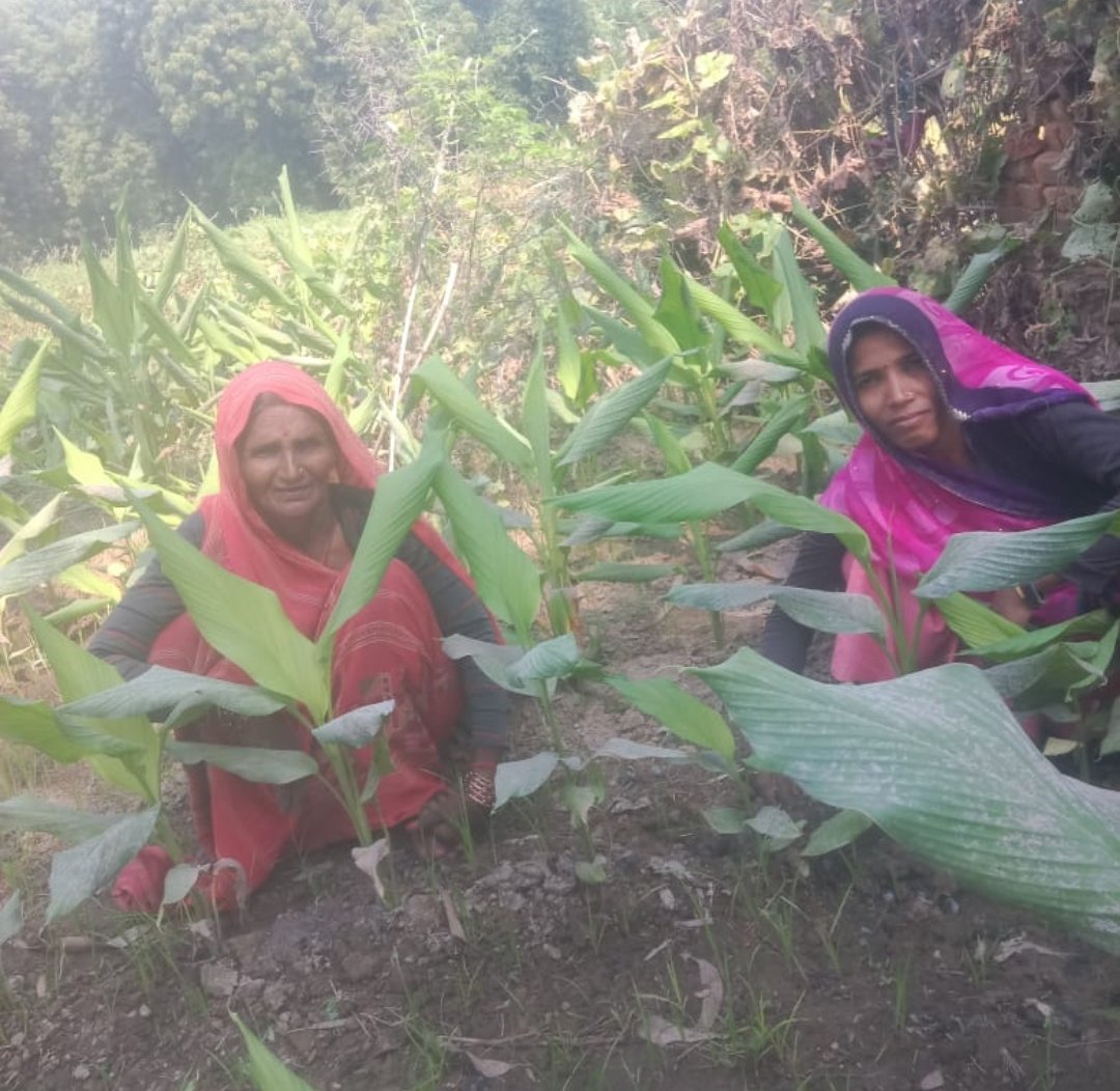 *खेती और खुशहाली की इंजीनियर बनीं जिले की 408 कृषि सखियां, बदल रही हैं ग्रामीण अर्थव्यवस्था की तस्वीर