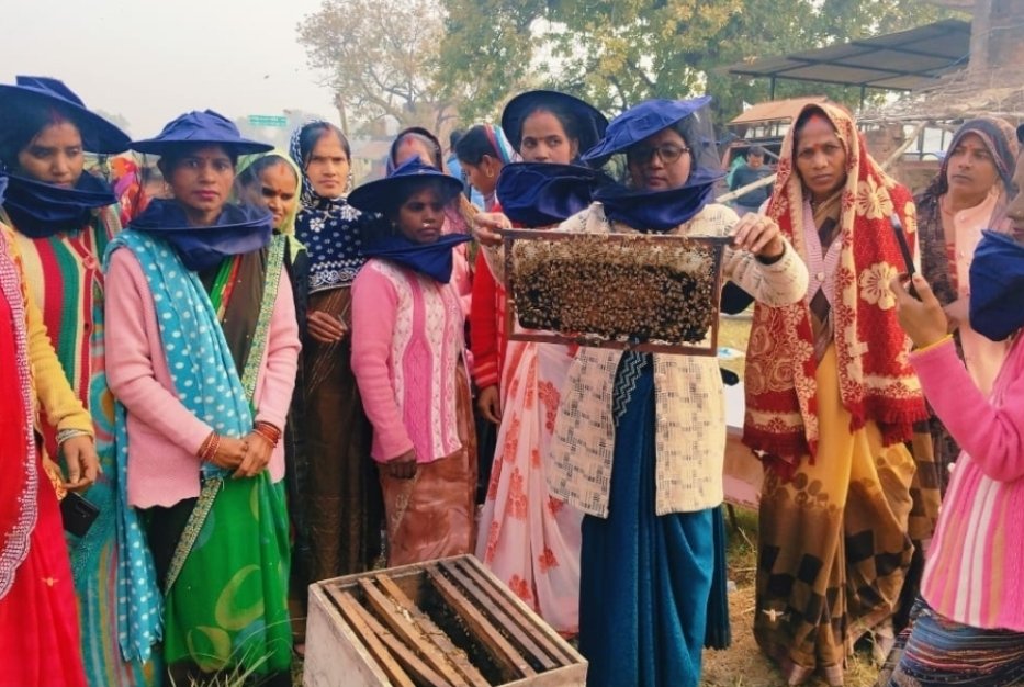 महिलाओं ने अब शहद उत्पादन के क्षेत्र में बढ़ाया मजबूती से कदम