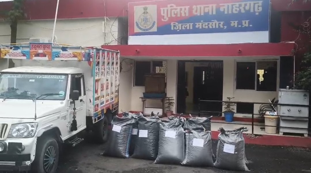पुलिस थाना नाहरगढ द्वारा अंतर्राज्यीय तस्कर से 260 किलोग्राम अवैध मादक पदार्थ डोडाचुरा मय पिकअप के जप्त किया