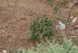 मुख्य नहर मार्ग में अवैध कब्जा होने के कारण गांव के किसानों को भारी दिक्कत