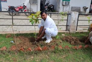 वृक्ष धारा के भूषण है हरे भरे आभूषण है — थाना अध्यक्ष एट