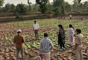 हरा सोना ने बदली जिंदगी, ग्रामीणों के लिए बना आर्थिक संबल*